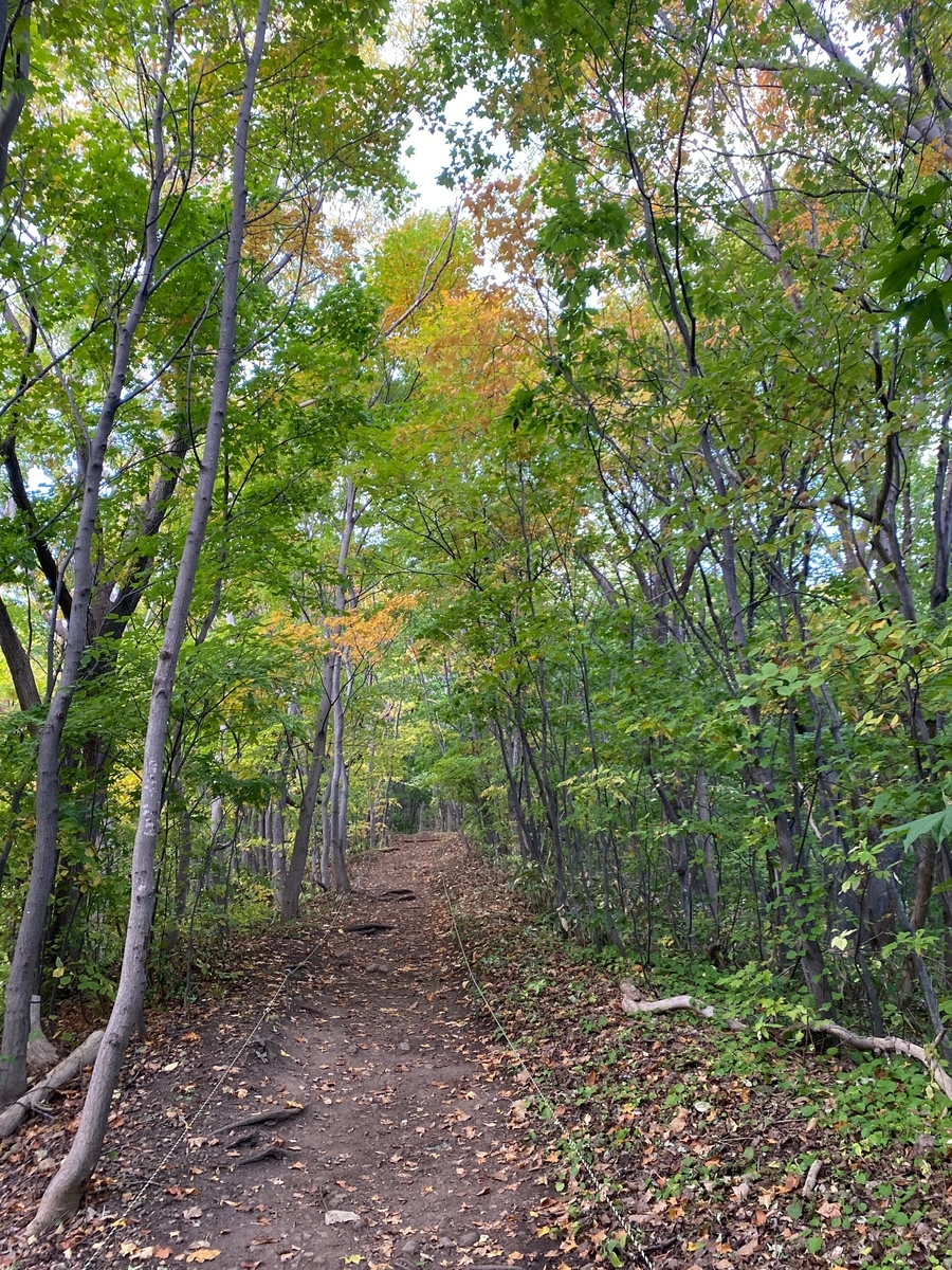 f:id:FST2:20201014175631j:plain