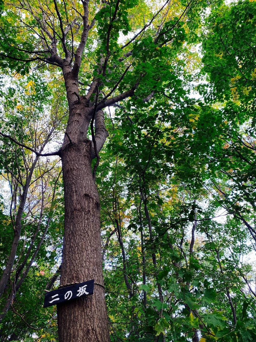 f:id:FST2:20201014182447j:plain