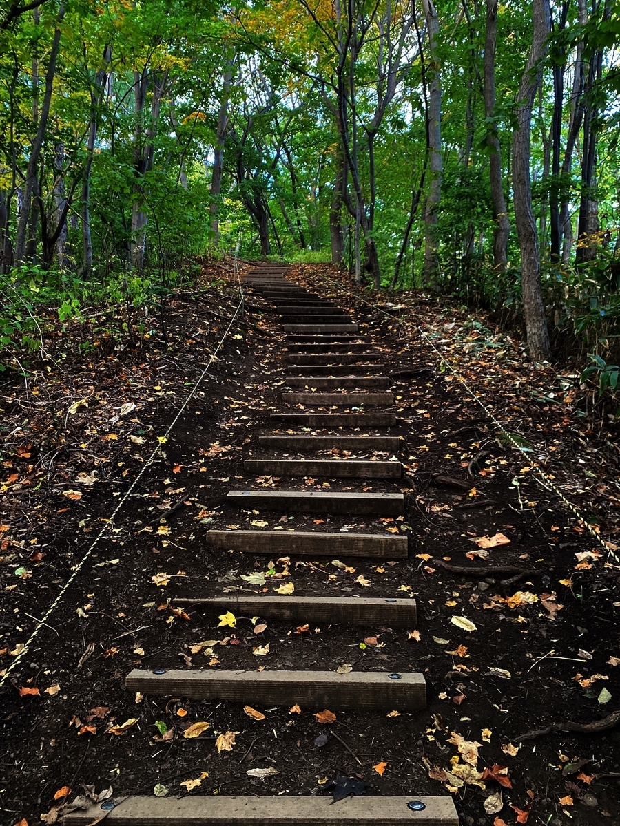 f:id:FST2:20201014184622j:plain