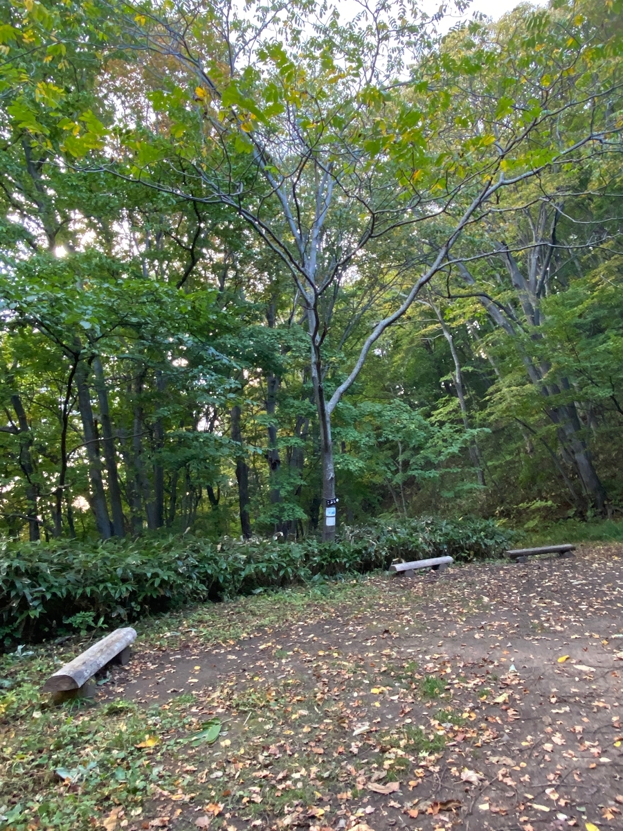 f:id:FST2:20201014185653j:plain