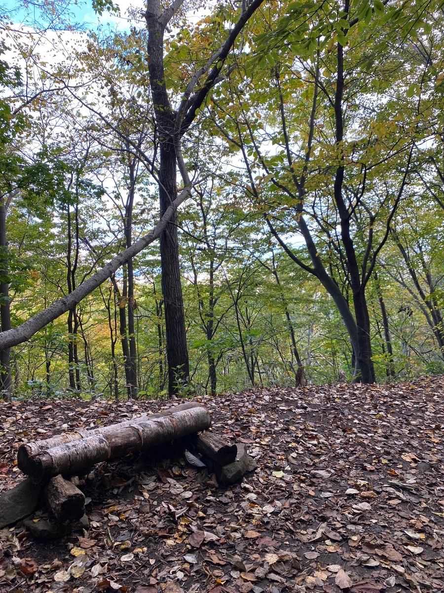 f:id:FST2:20201014185947j:plain