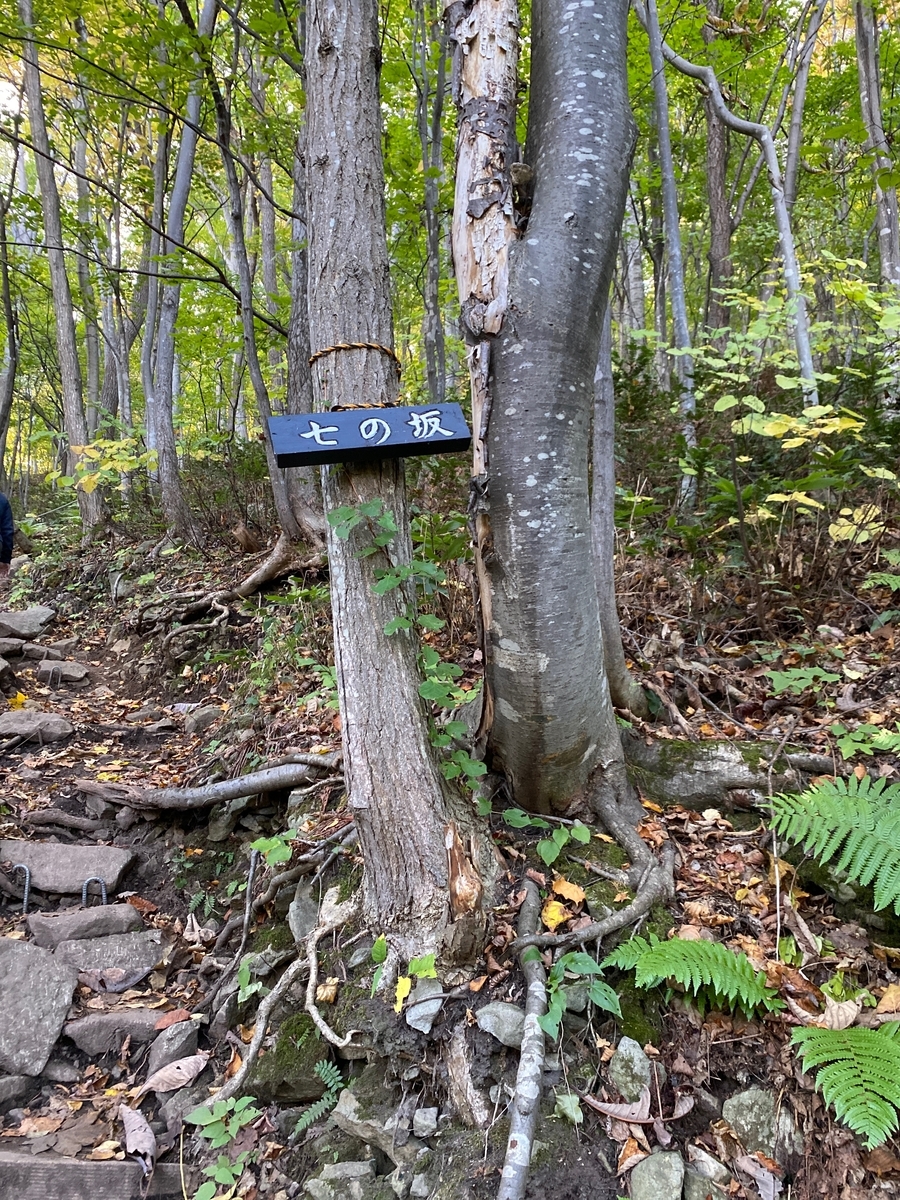 f:id:FST2:20201014190613j:plain