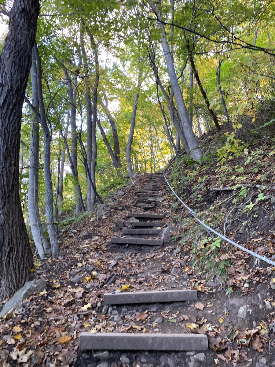 f:id:FST2:20201014191325j:plain