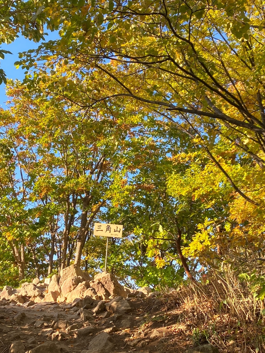 f:id:FST2:20201014191725j:plain