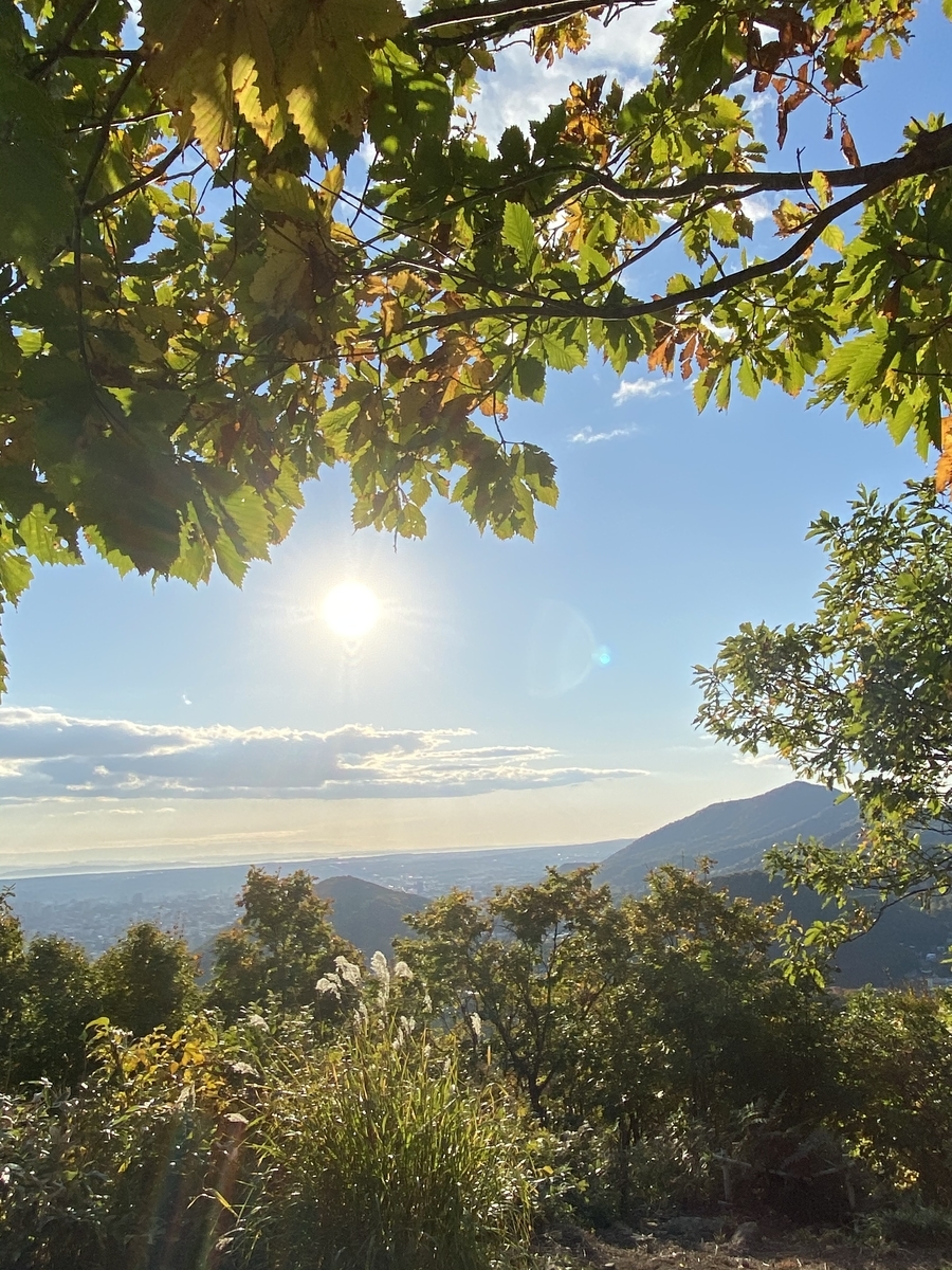 f:id:FST2:20201014194946j:plain