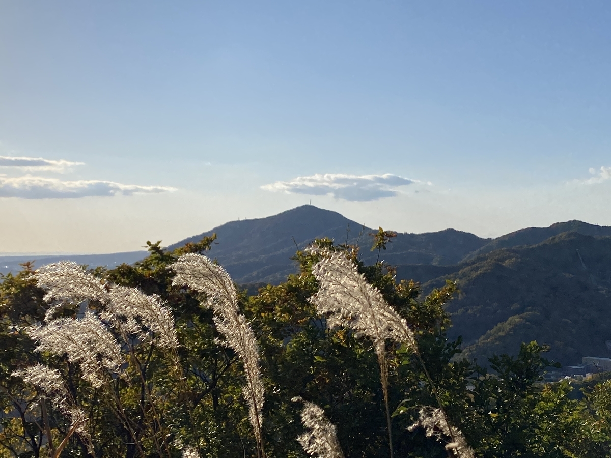 f:id:FST2:20201014195130j:plain