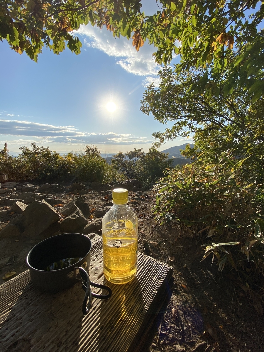 f:id:FST2:20201014195211j:plain