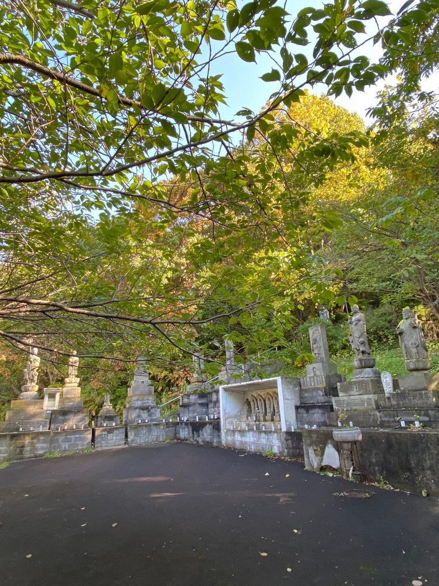 f:id:FST2:20201019135527j:plain