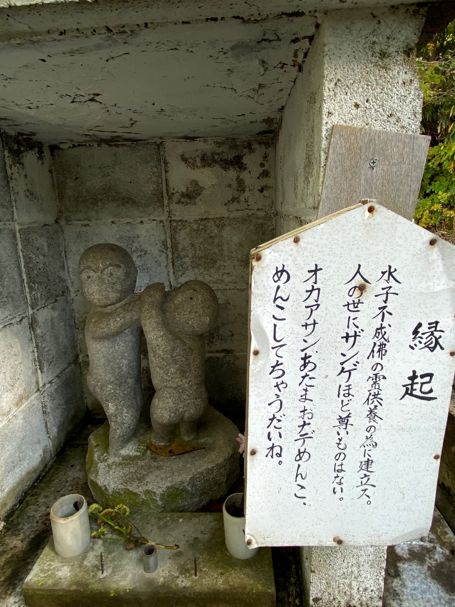 f:id:FST2:20201019140444j:plain