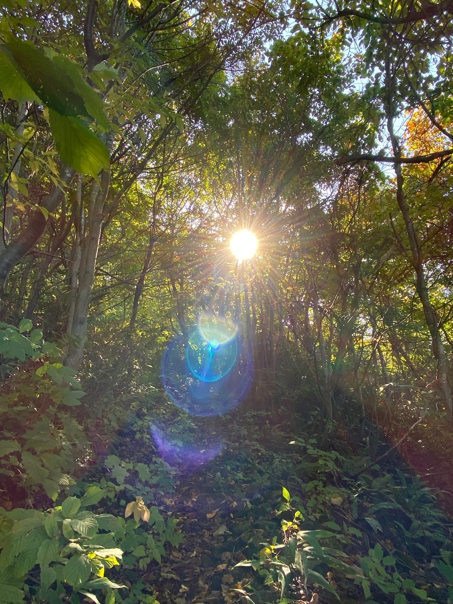 f:id:FST2:20201019163511j:plain