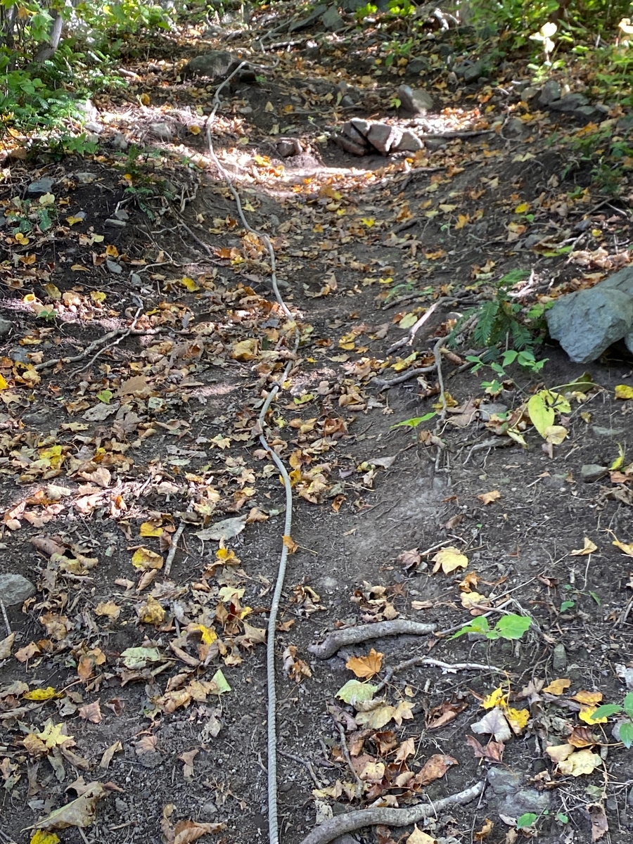 f:id:FST2:20201019163748j:plain