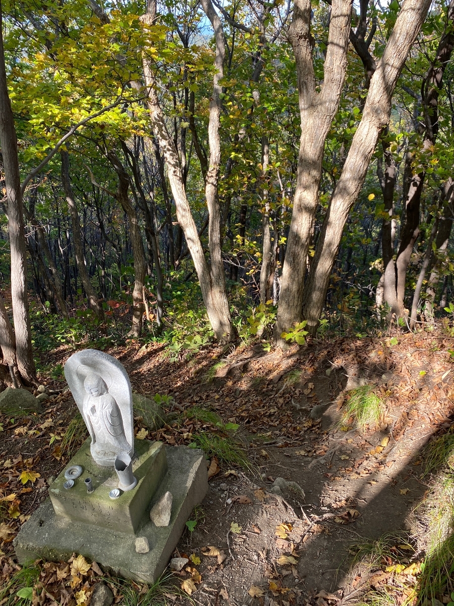 f:id:FST2:20201019164844j:plain