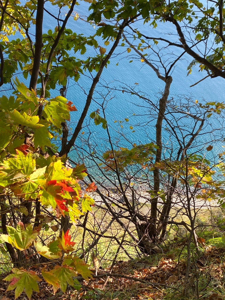 f:id:FST2:20201019170405j:plain