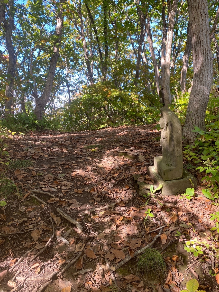 f:id:FST2:20201019170737j:plain