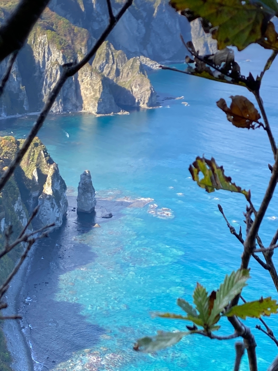 f:id:FST2:20201019171705j:plain