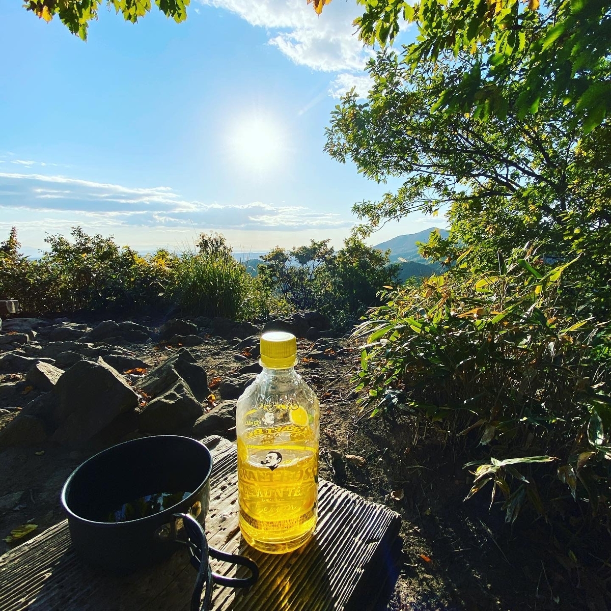 f:id:FST2:20201104223258j:plain f:id:FST2:20201104223258j:plain