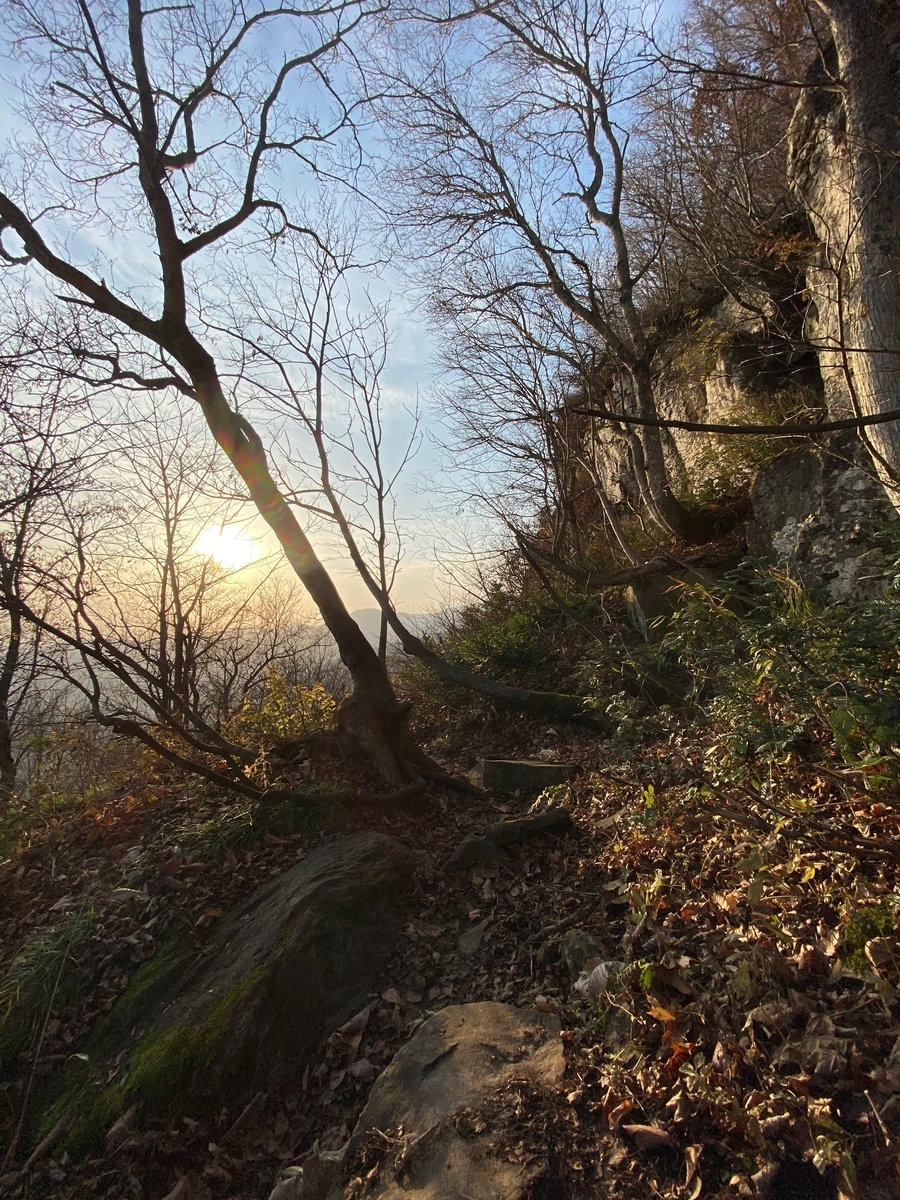 f:id:FST2:20201107005328j:plain