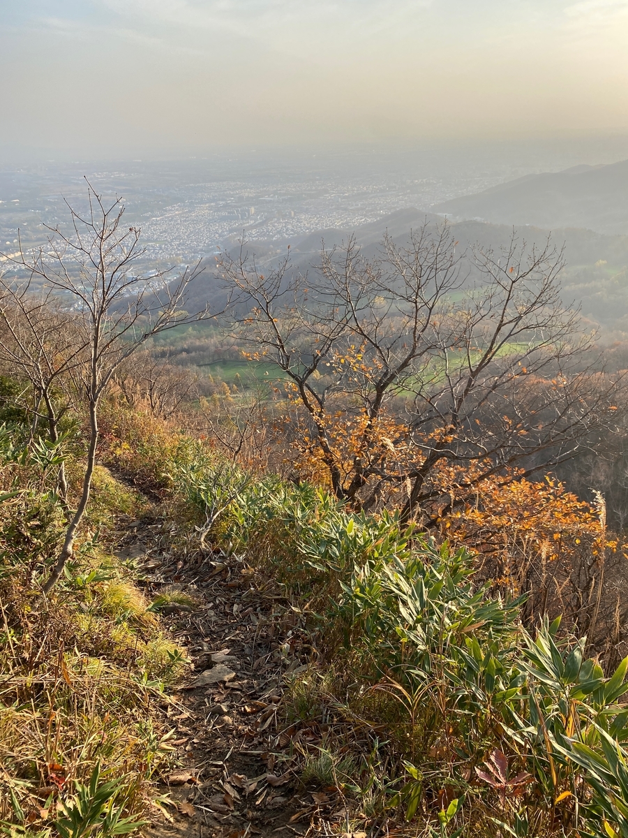 f:id:FST2:20201107005417j:plain