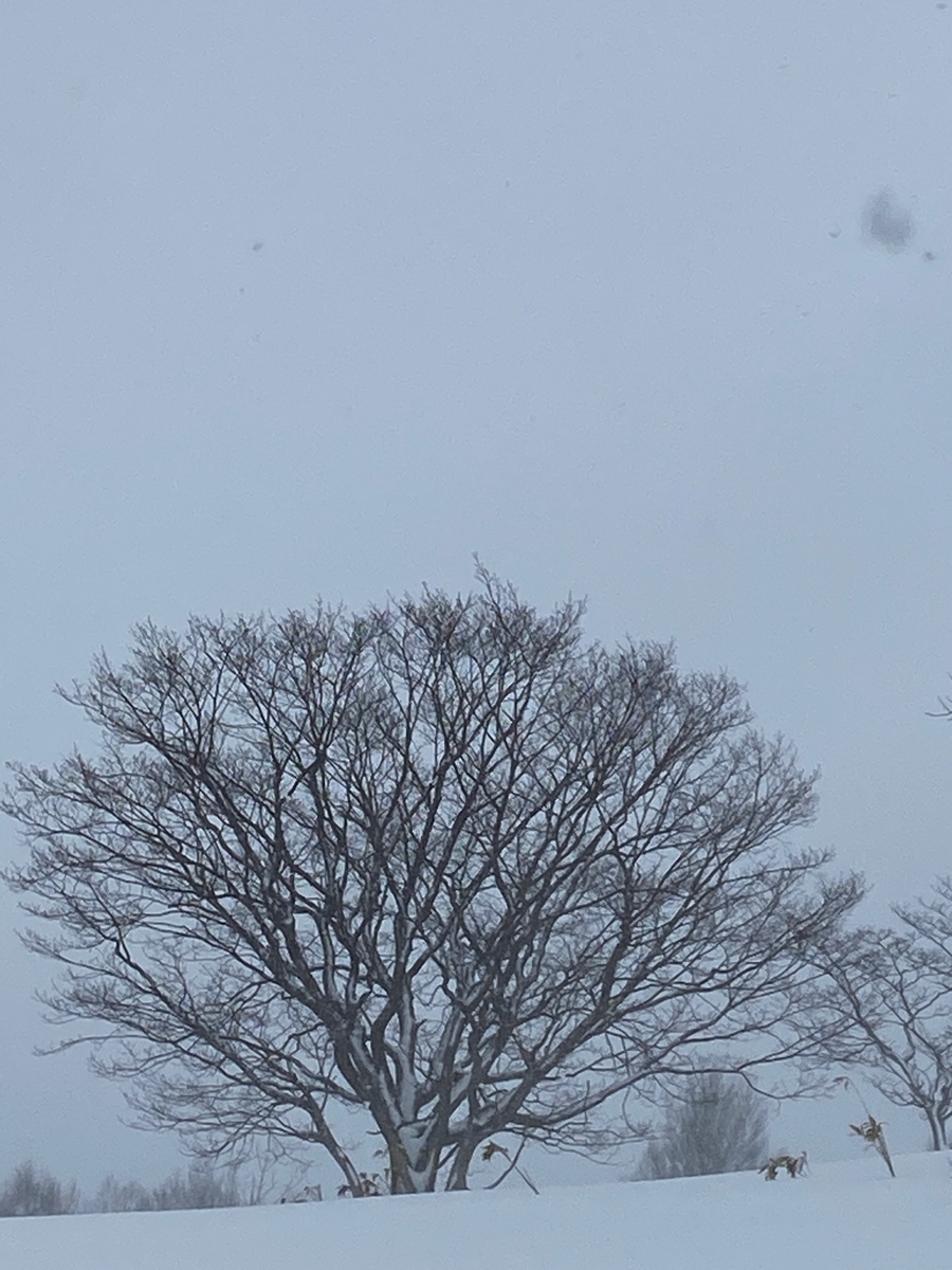 f:id:FST2:20210212203232j:plain