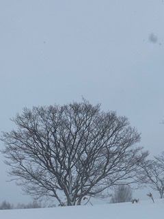 f:id:FST2:20210212205612j:plain