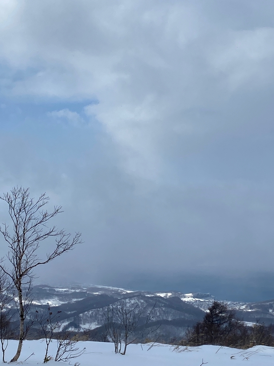 f:id:FST2:20210219225737j:plain