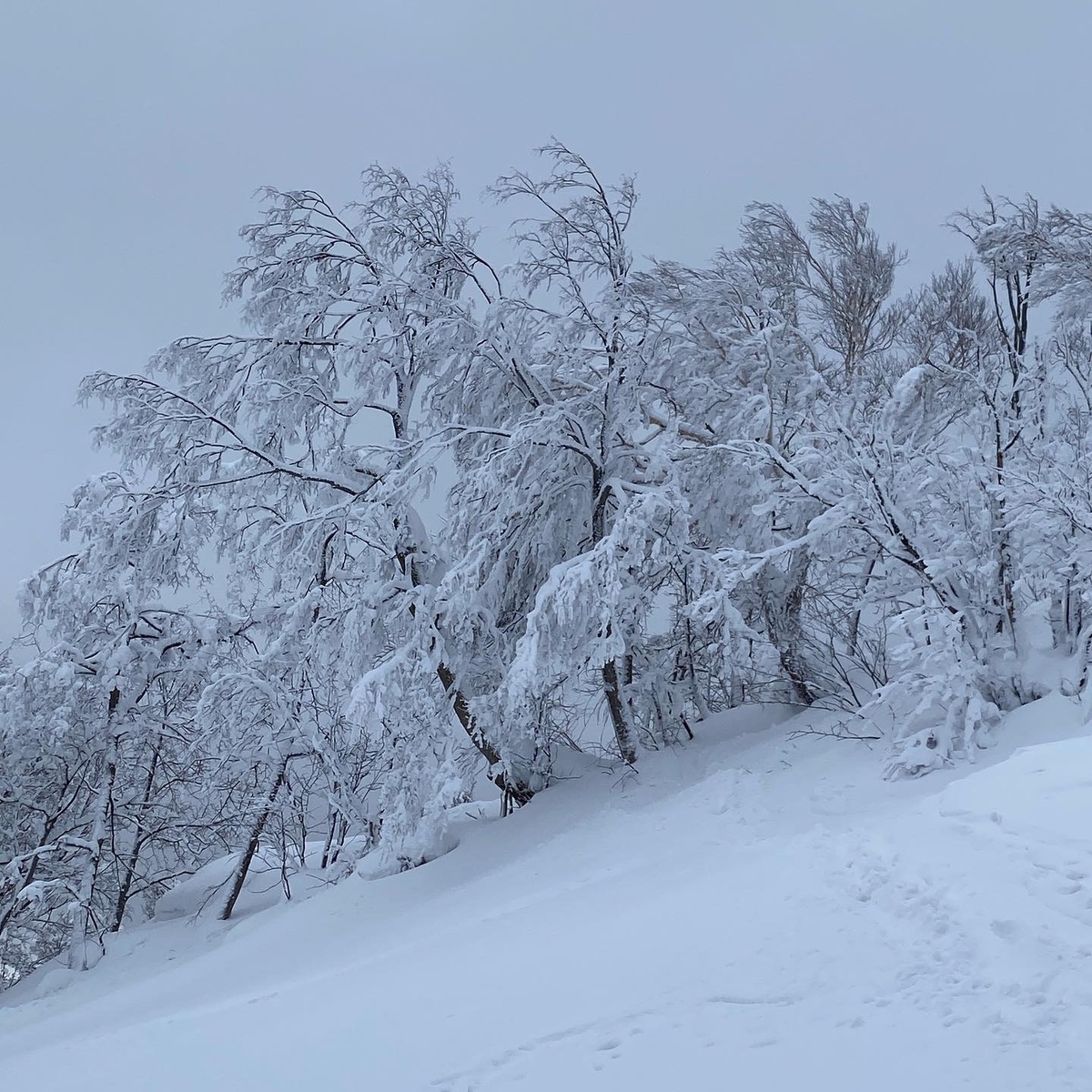 f:id:FST2:20210221192812j:plain