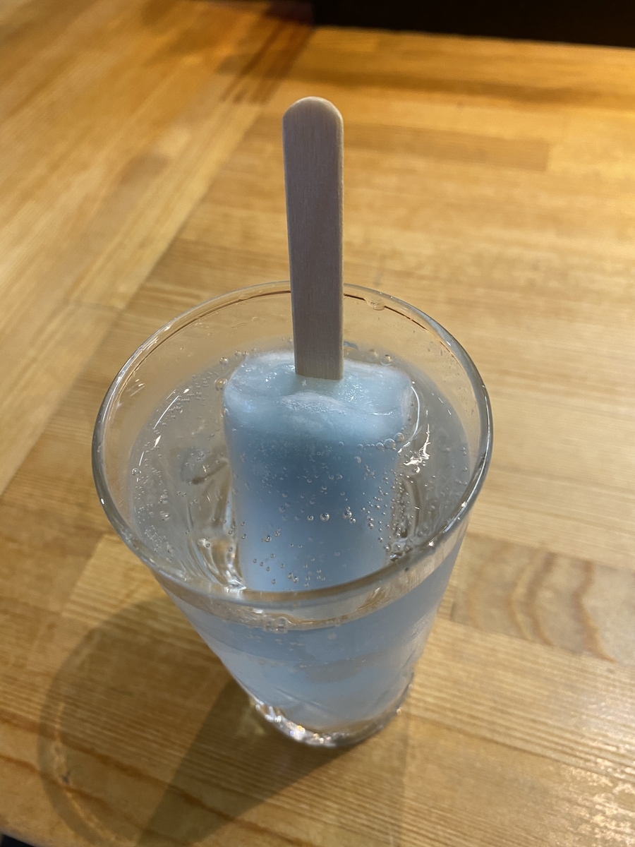 f:id:FST2:20210221210557j:plain