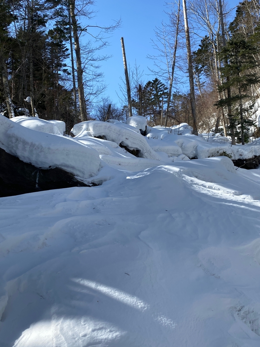 f:id:FST2:20210301215912j:plain