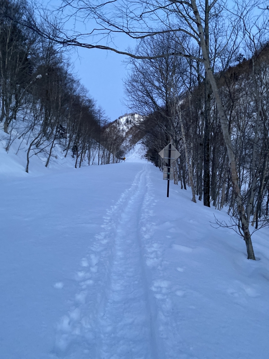 f:id:FST2:20210307212005j:plain