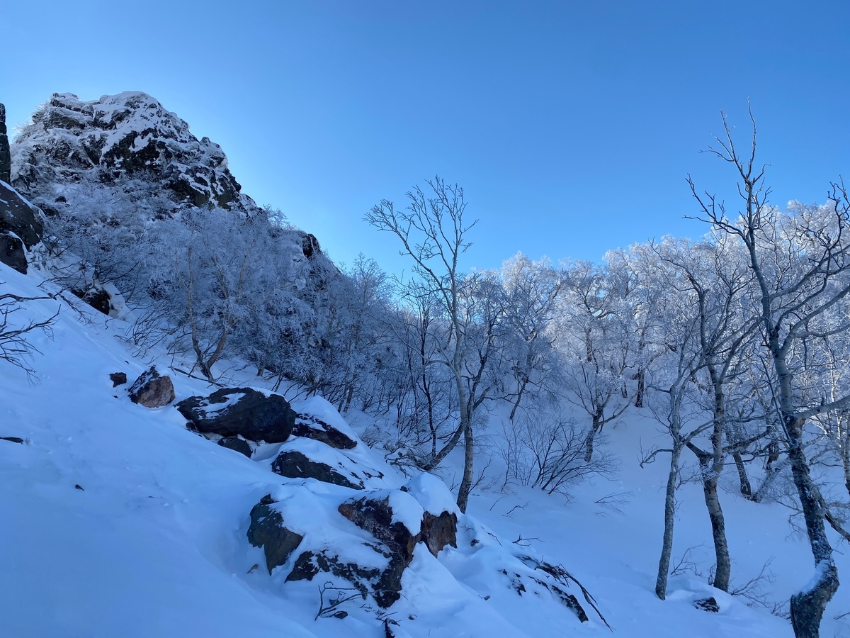 f:id:FST2:20210307213045j:plain