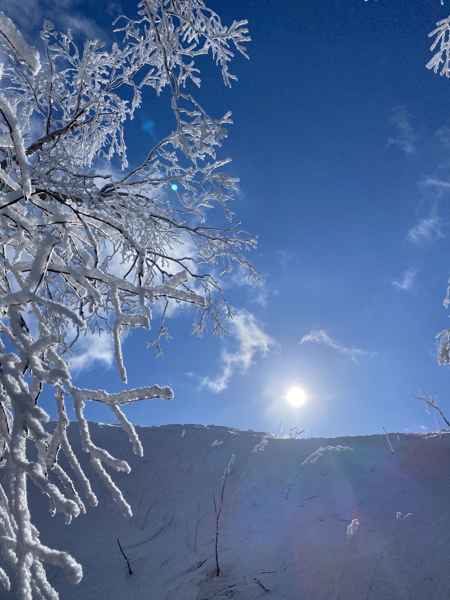 f:id:FST2:20210307214510j:plain