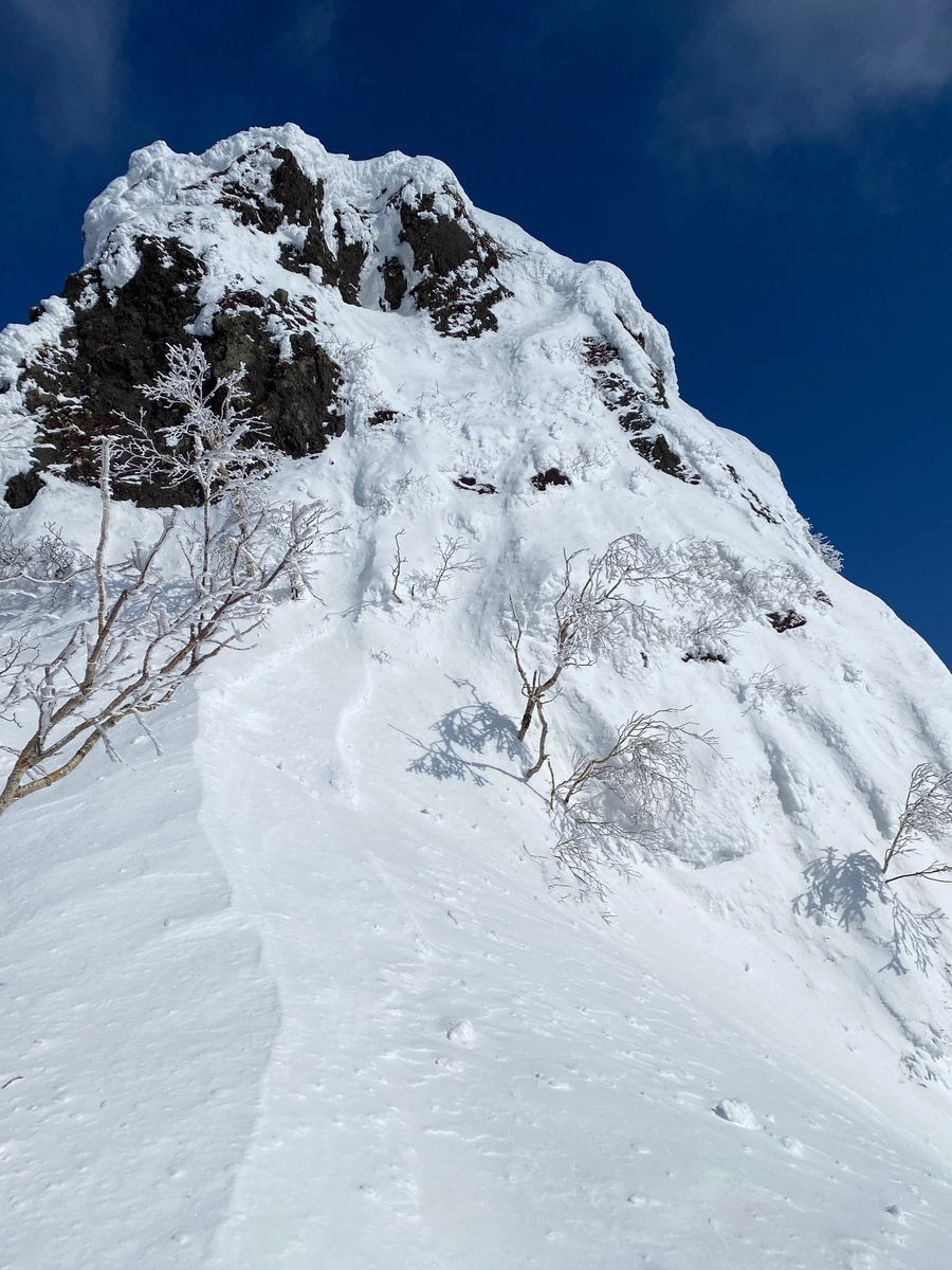 f:id:FST2:20210307215540j:plain