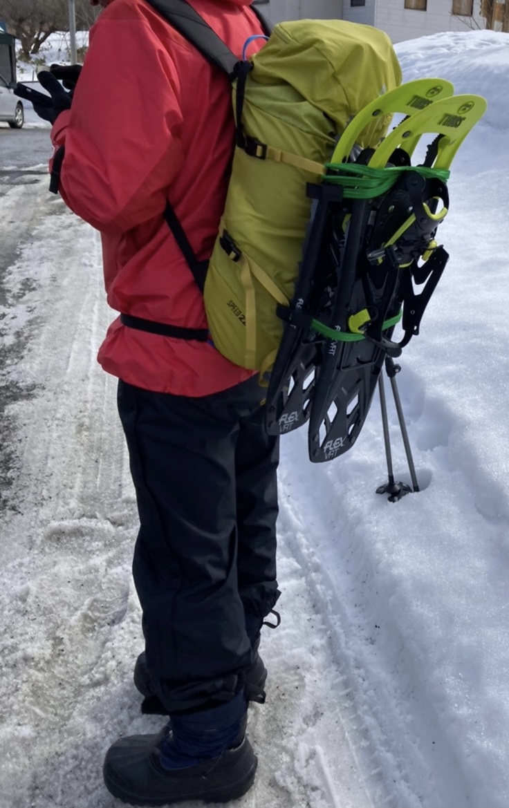 f:id:FST2:20210315210938j:plain