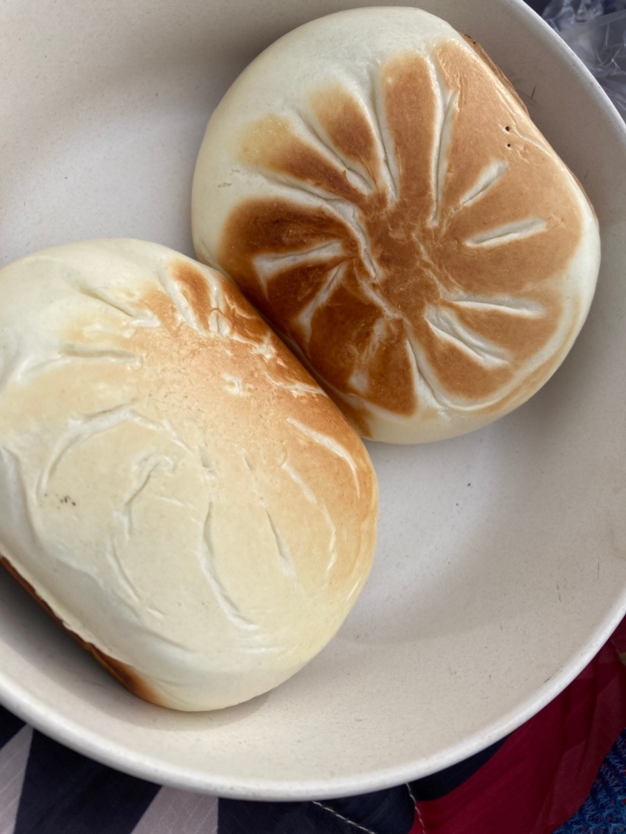 f:id:FST2:20210315212449j:plain