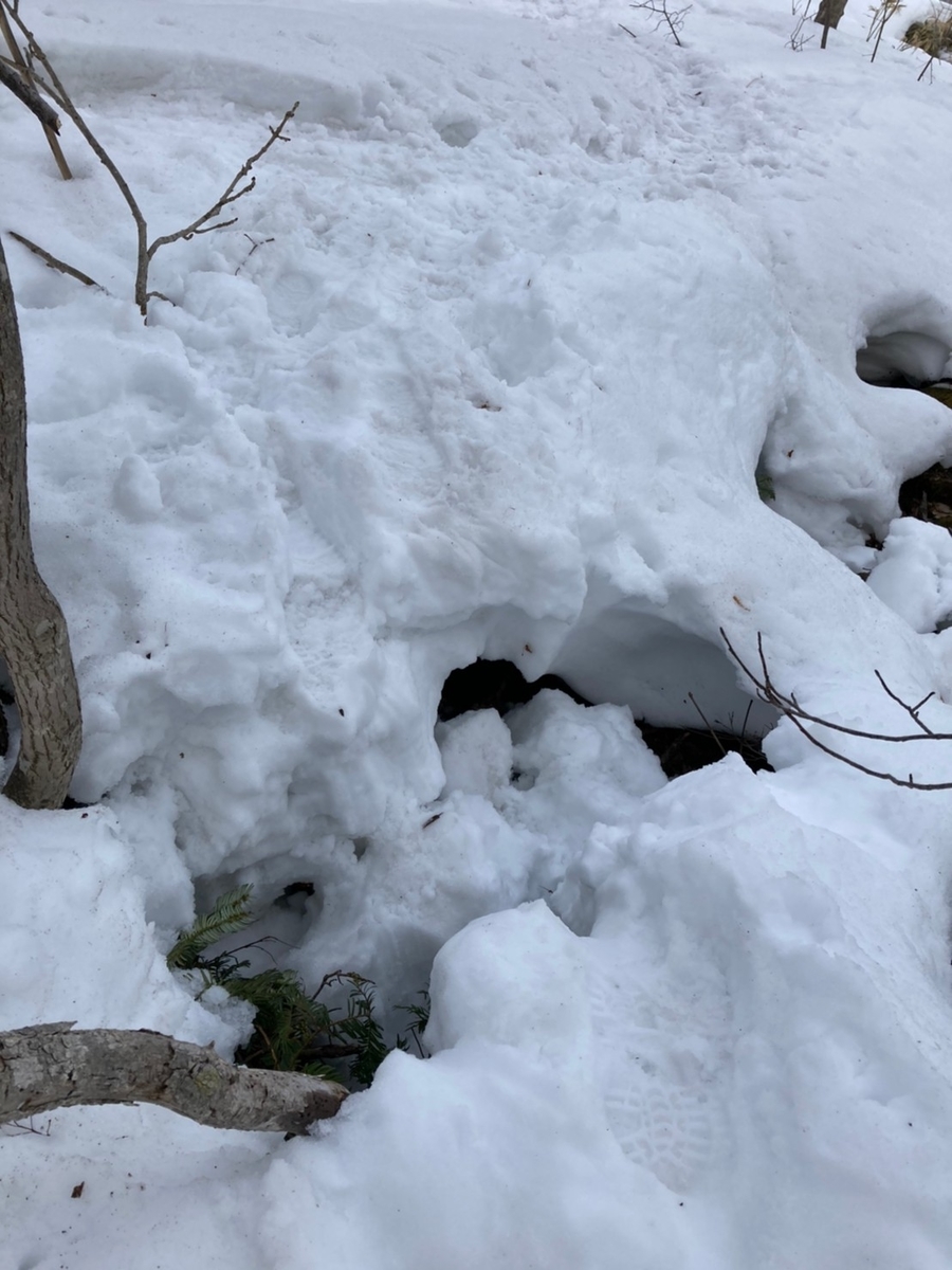 f:id:FST2:20210315212921j:plain