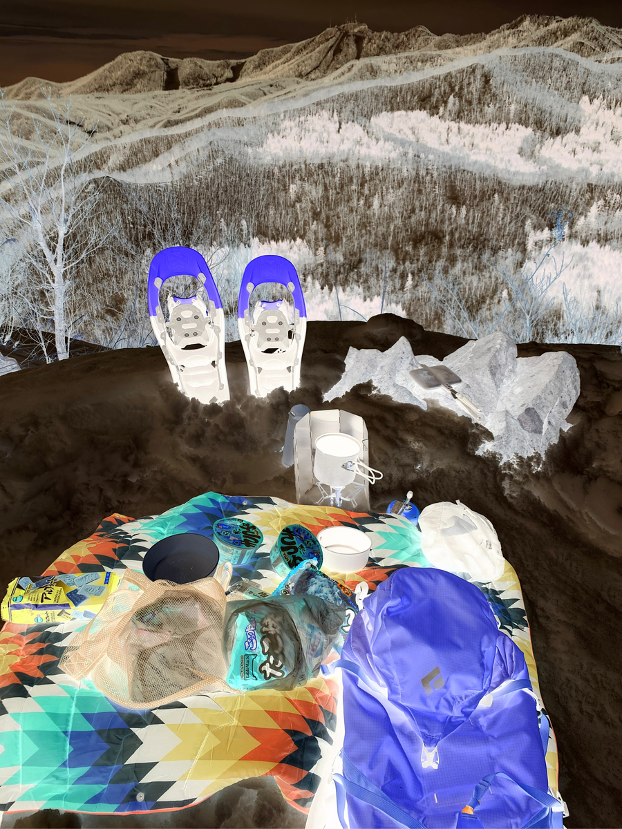 f:id:FST2:20210316233652j:plain