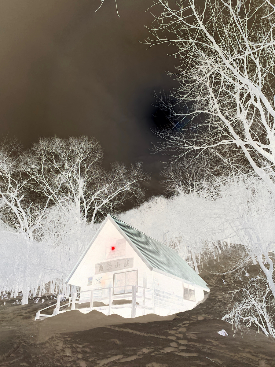 f:id:FST2:20210316233742j:plain