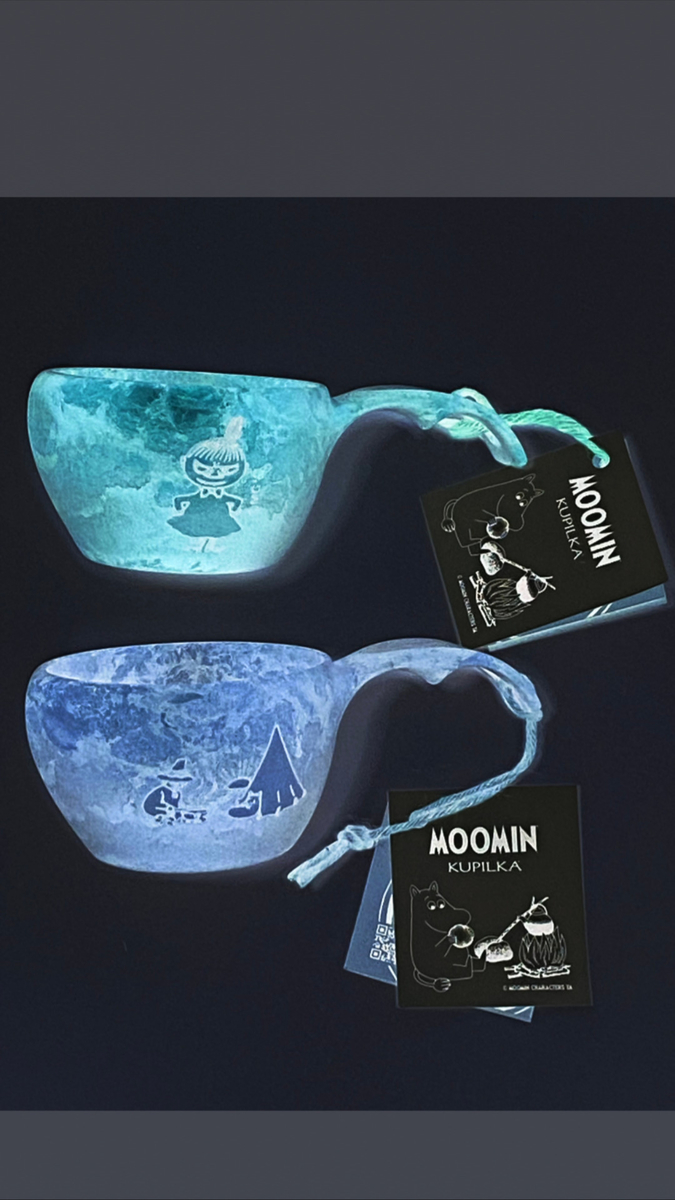 f:id:FST2:20210316233846j:plain