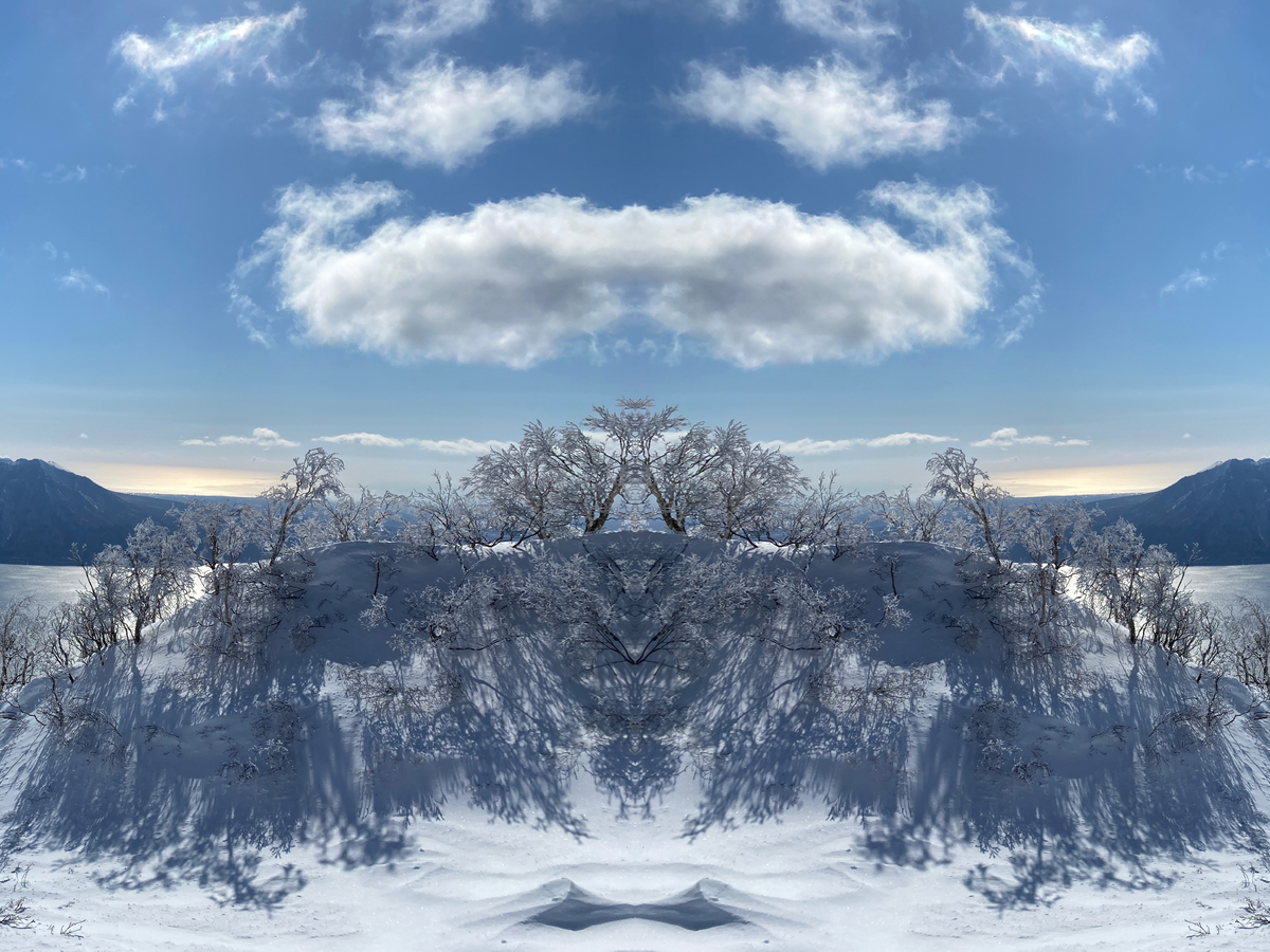 f:id:FST2:20210316233919j:plain