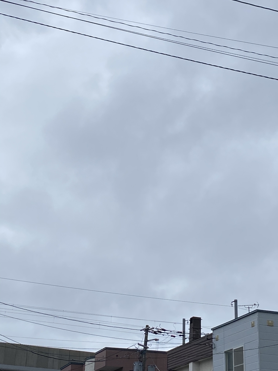 f:id:FST2:20210502210112j:plain