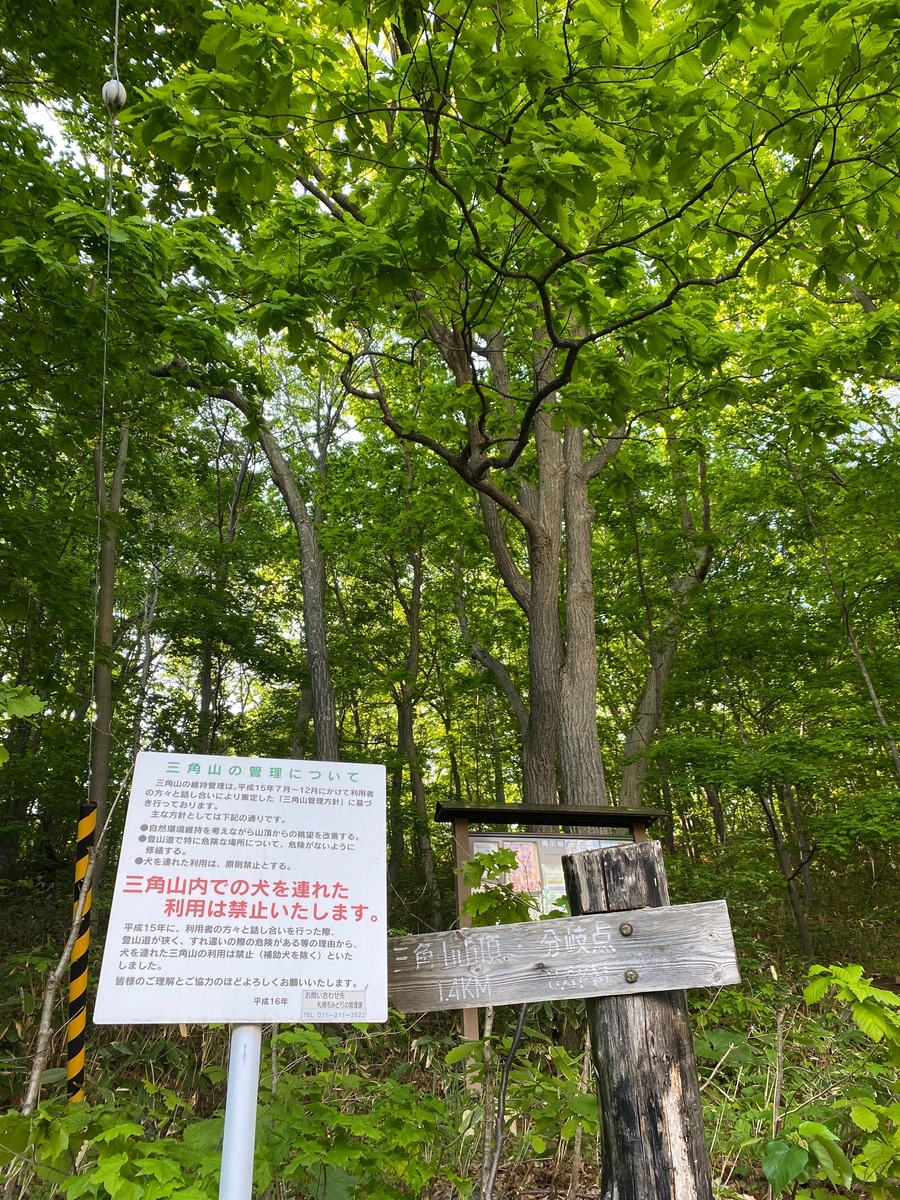 f:id:FST2:20210527184442j:plain