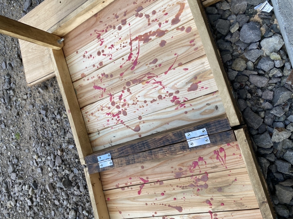 f:id:FST2:20210531221013j:plain