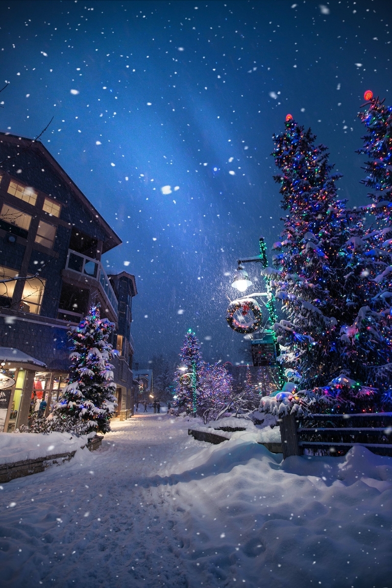 クリスマスイブの過ごし方 海亀のつぶやき クリスマスイブの過ごし方 海亀のつぶやき
