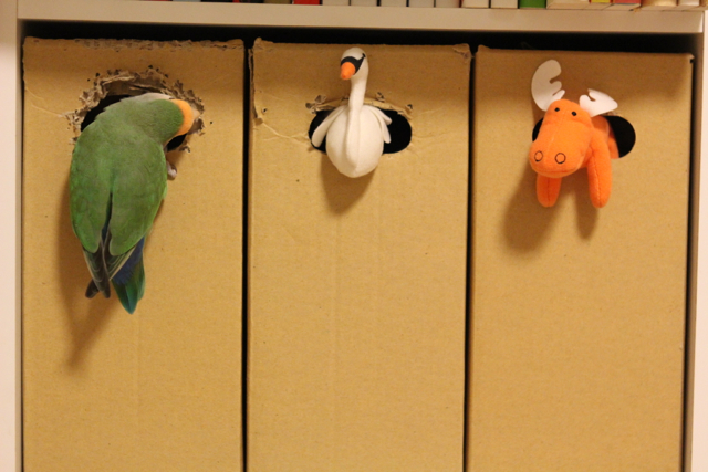 f:id:FUJI3:20131003195652j:image