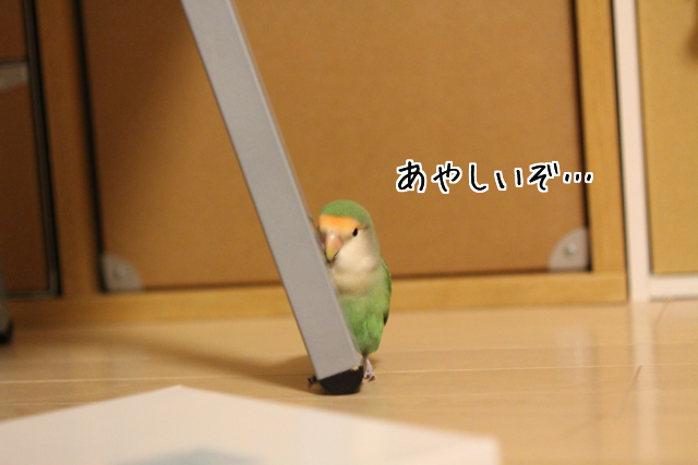 f:id:FUJI3:20131003200504j:image