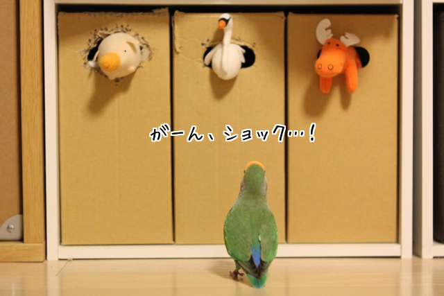 f:id:FUJI3:20131003200505j:image