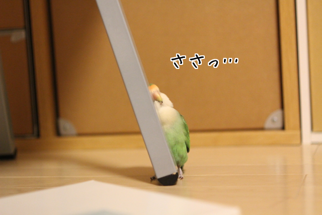 f:id:FUJI3:20131003200506j:image