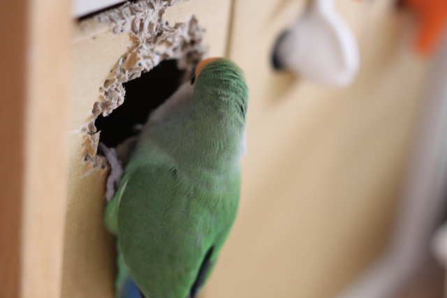 f:id:FUJI3:20131013220034j:image