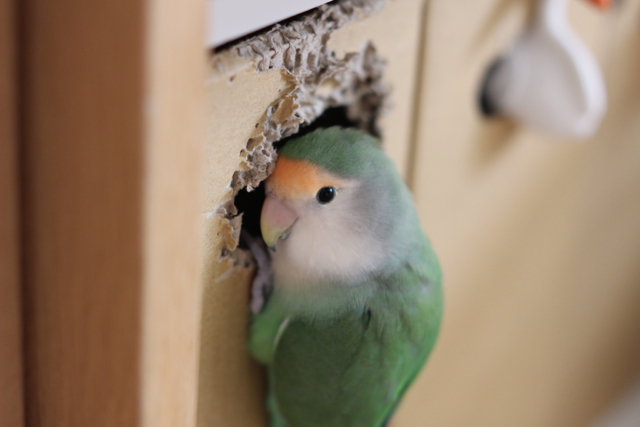 f:id:FUJI3:20131013220038j:image