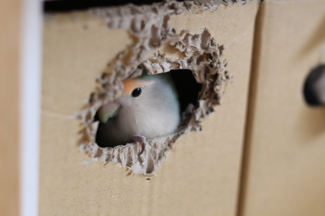 f:id:FUJI3:20131013220039j:image